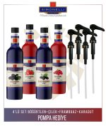 Simonelli 4’lü Kokteyl Şurubu Seti 700 ml Çilek Böğürtlen Frambuaz Karadut Aromalı