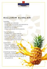 Simonelli Meyve Püresi Ananas 1000 G - Görsel 2