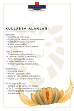 Simonelli Meyve Püresi Kavun 1000 G - Görsel 2